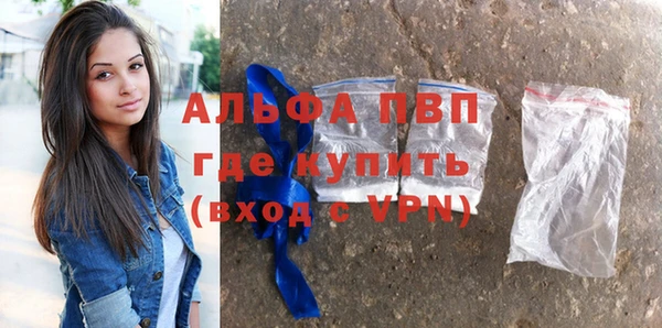 прущие грибы Абаза