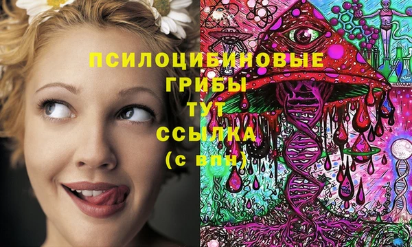 PSILOCYBIN Алексин