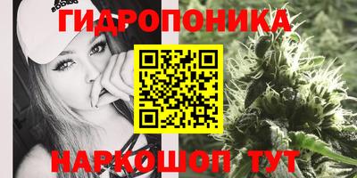 СК Кулебаки