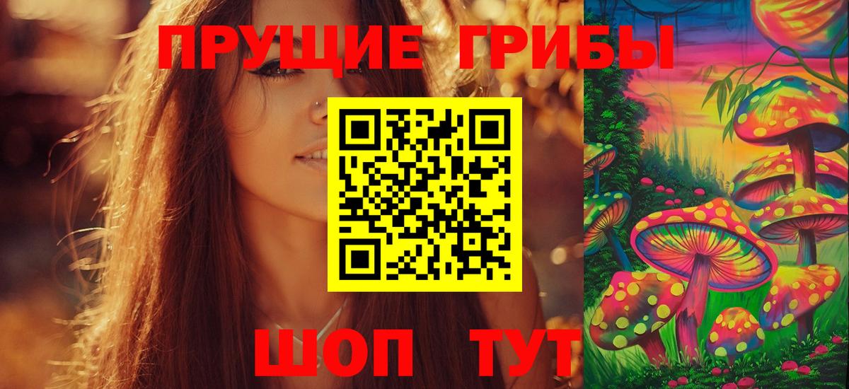 Галлюциногенные грибы GOLDEN TEACHER  где купить наркоту  Новокубанск  Вход с VPN 